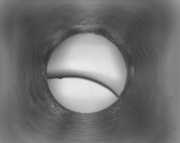 X0000080811300200701021305