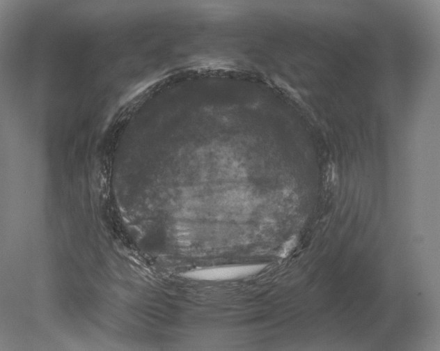 X0000080811303200701021305