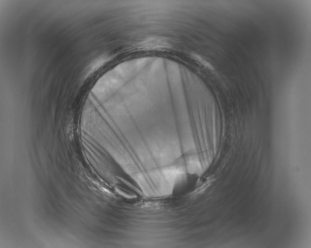 X0000080811306200701021305