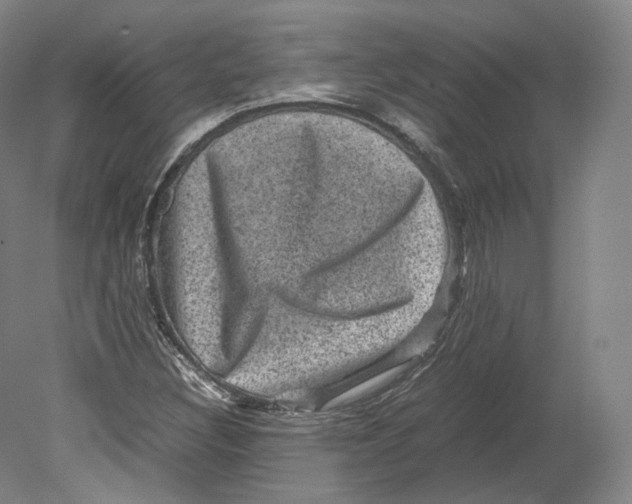X0000080811308200701021305