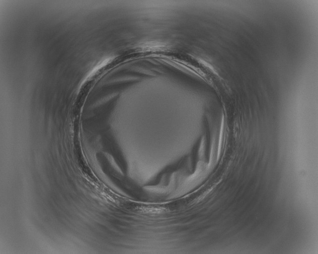 X0000080811309200701021305