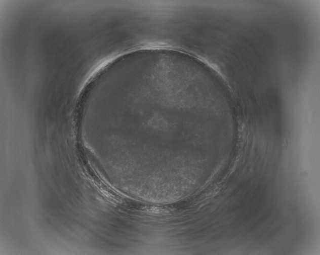 X0000080811311200701021305