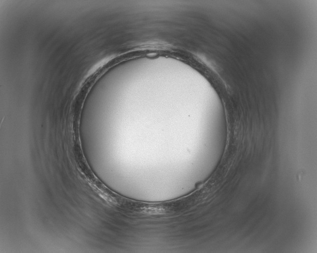 X0000080811315200701021305