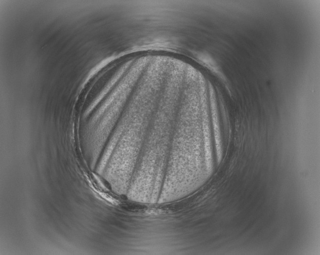 X0000080811316200701021305