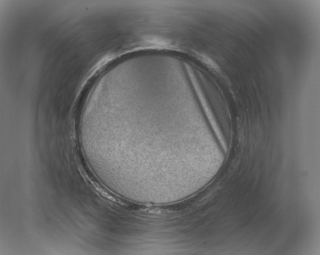 X0000080811318200701021305