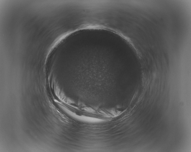 X0000080811319200701021305