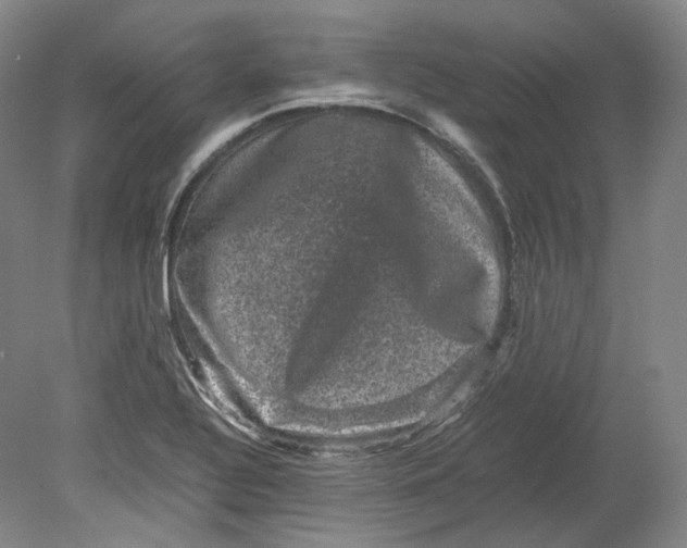X0000080811320200701021305