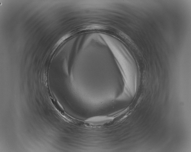 X0000080811321200701021305