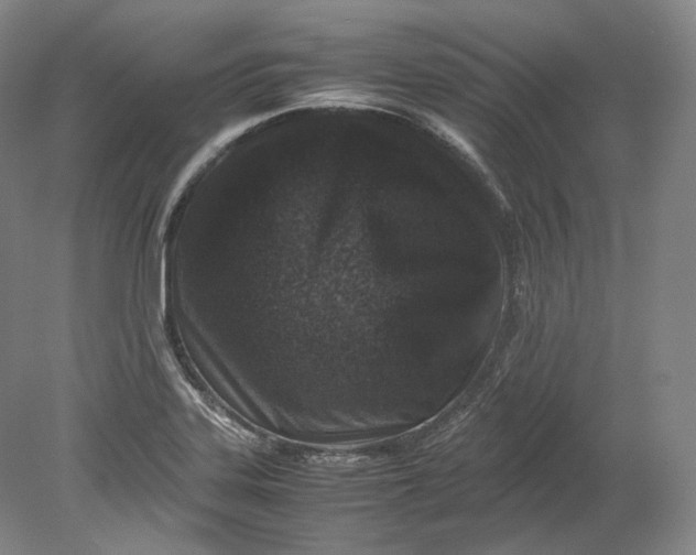 X0000080811323200701021305