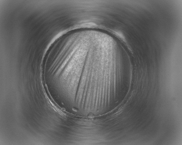 X0000080811326200701021306