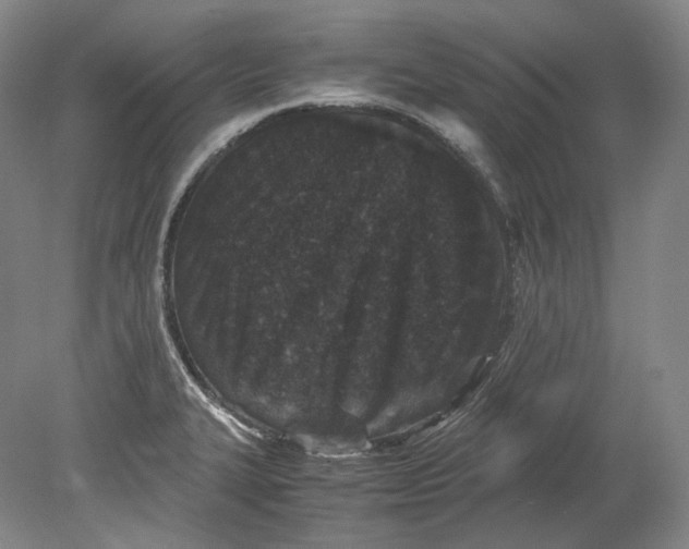 X0000080811327200701021306
