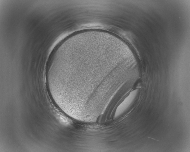 X0000080811328200701021306