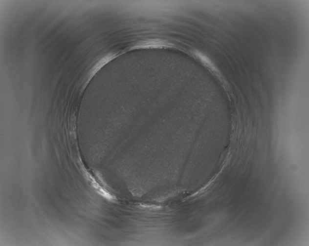 X0000080811329200701021306