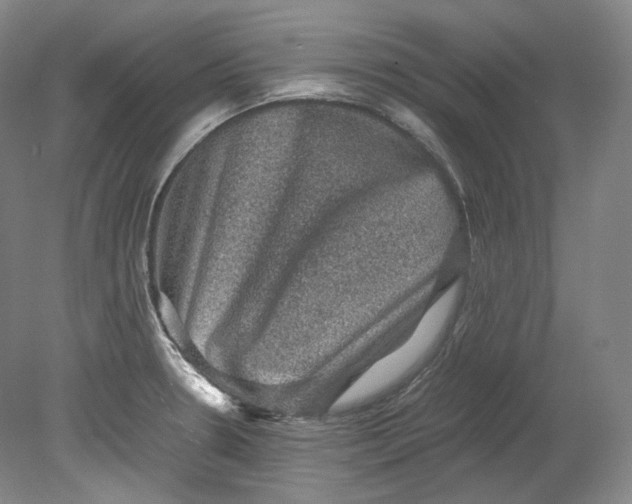 X0000080811330200701021306
