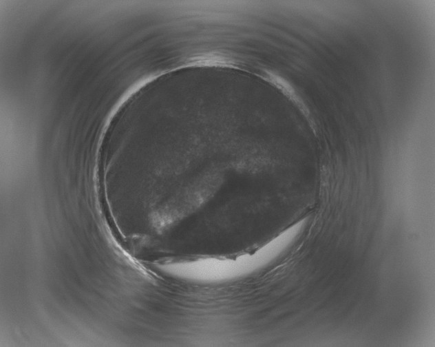 X0000080811331200701021306