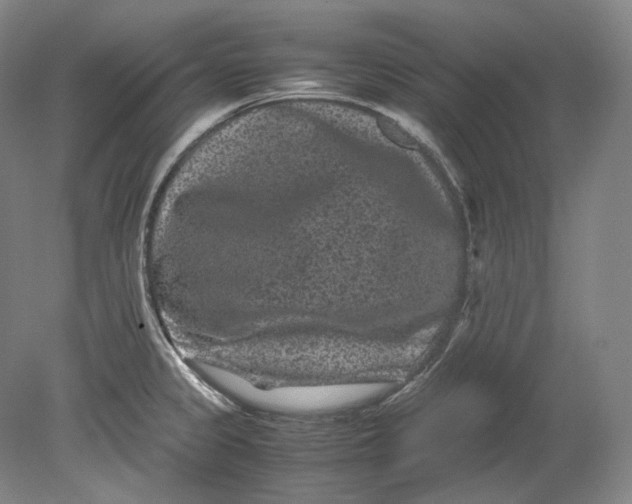 X0000080811333200701021306