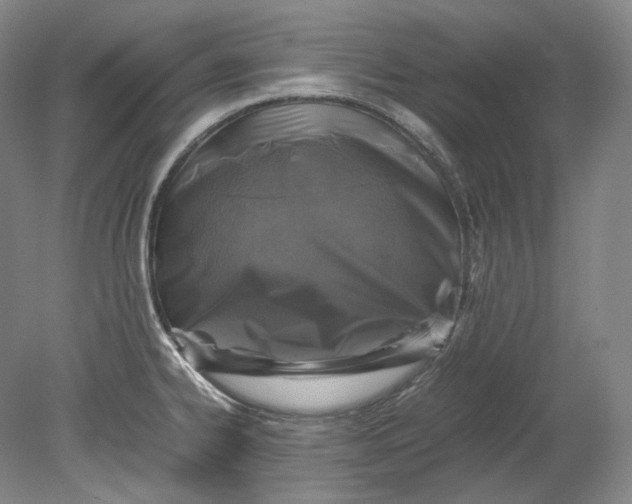 X0000080811334200701021306