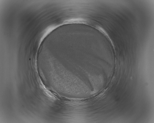 X0000080811336200701021306