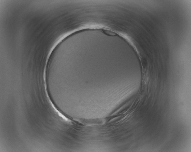 X0000080811343200701021306