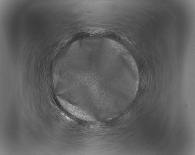 X0000080811345200701021305