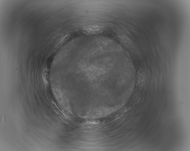 X0000080811346200701021305