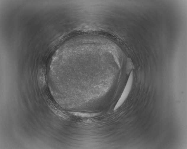 X0000080811348200701021305