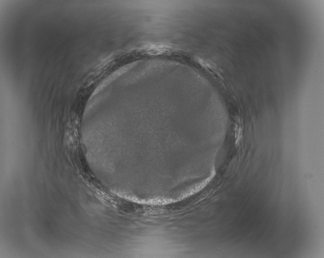X0000080811349200701021305