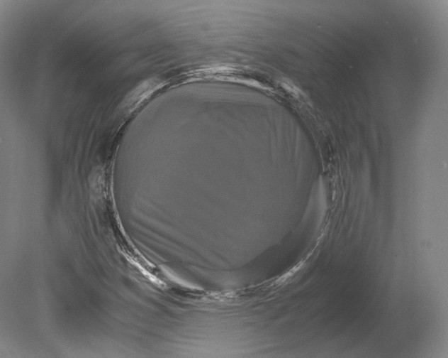 X0000080811353200701021305