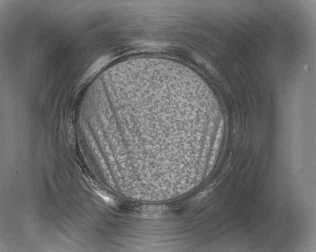 X0000080811354200701021305