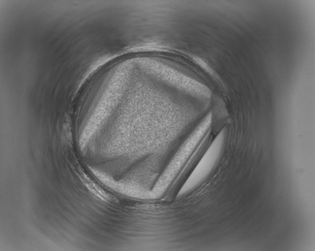 X0000080811356200701021305