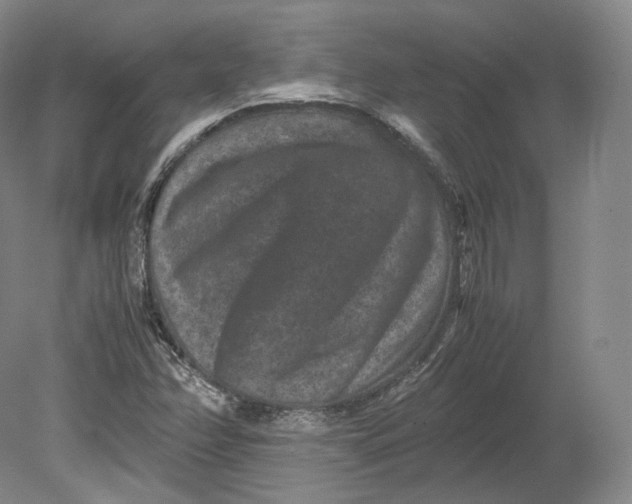X0000080811358200701021305