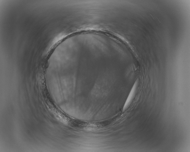 X0000080811359200701021305
