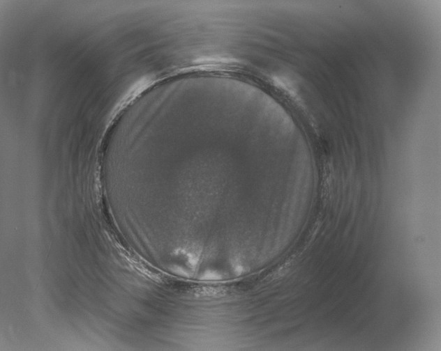 X0000080811362200701021305