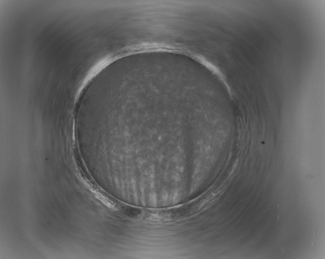 X0000080811365200701021305