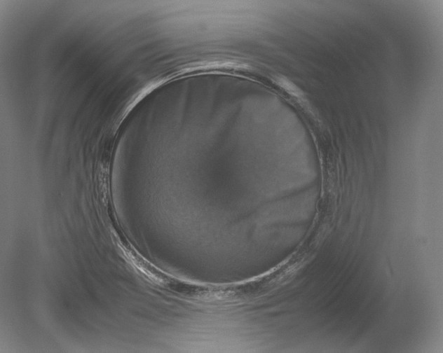 X0000080811369200701021305