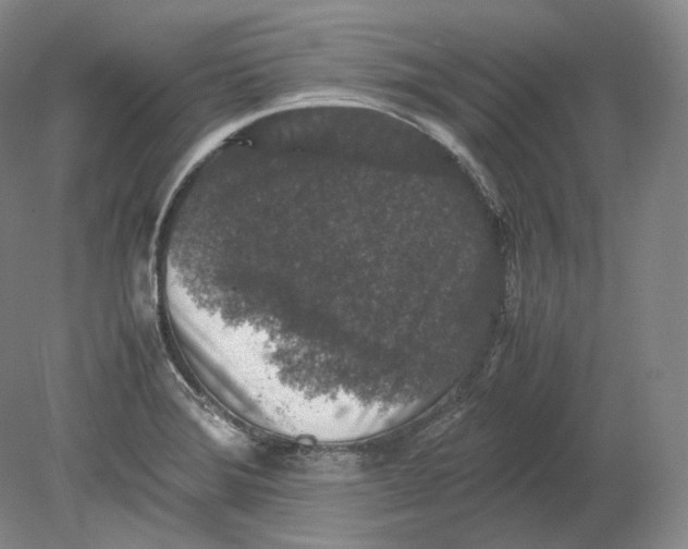 X0000080811372200701021305