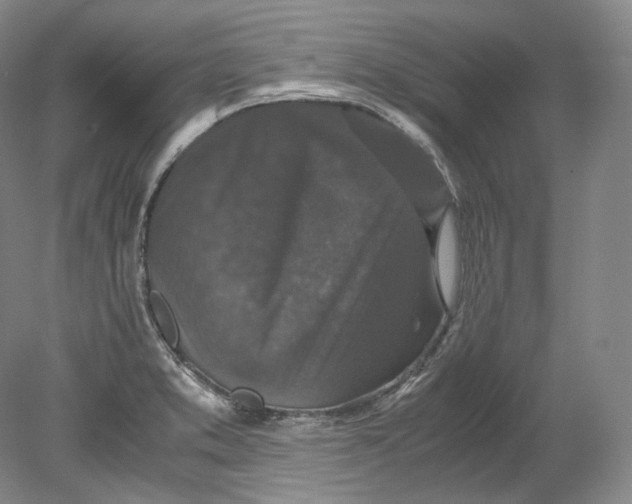 X0000080811373200701021305