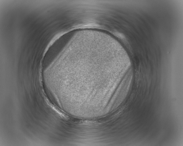 X0000080811374200701021305