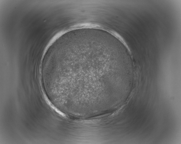X0000080811381200701021304