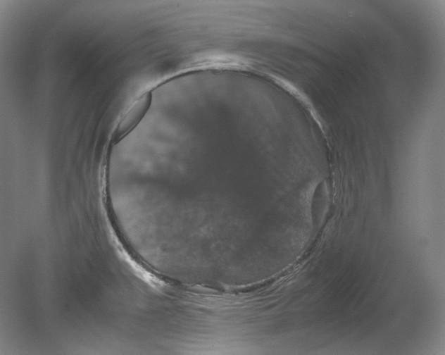 X0000080811383200701021304
