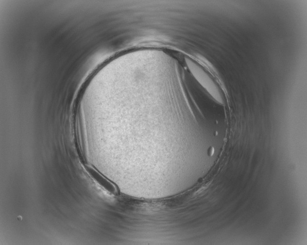X0000080811384200701021304