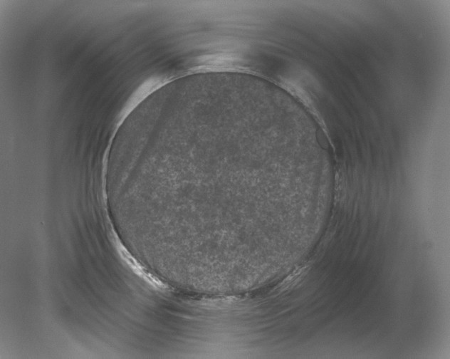 X0000080811386200701021304