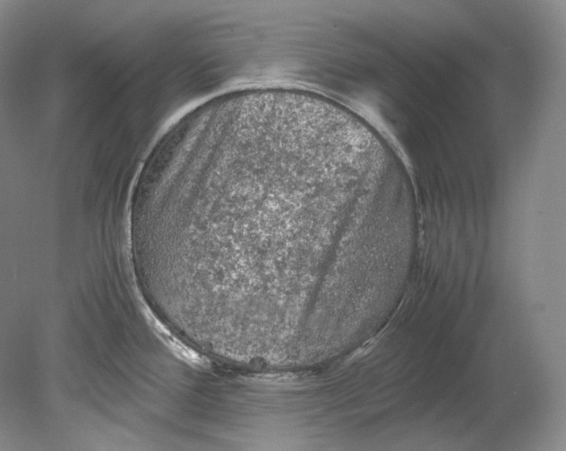 X0000080811388200701021304