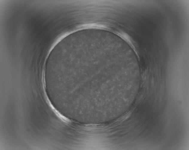 X0000080811391200701021304