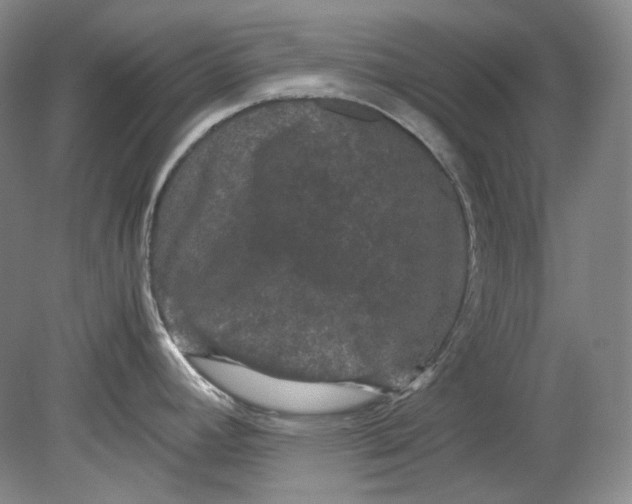 X0000080811392200701021304