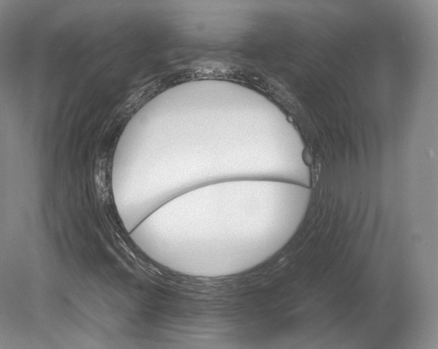 X0000080811396200701021303