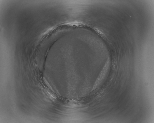 X0000080811398200701021304