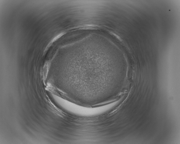 X0000080811402200701021304