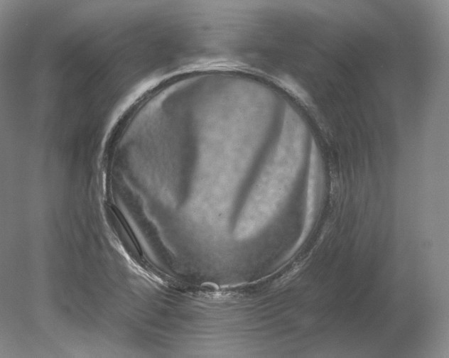X0000080811414200701021304