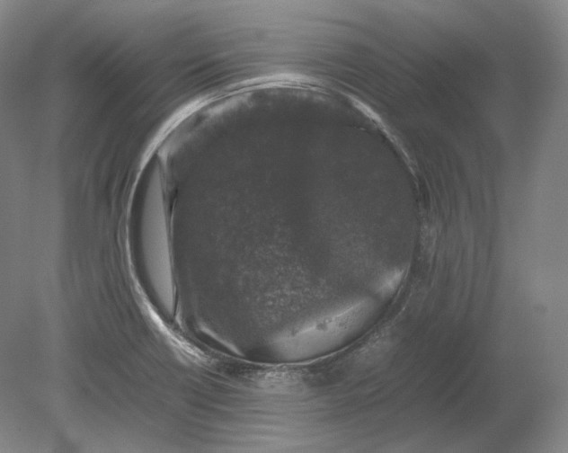 X0000080811418200701021304
